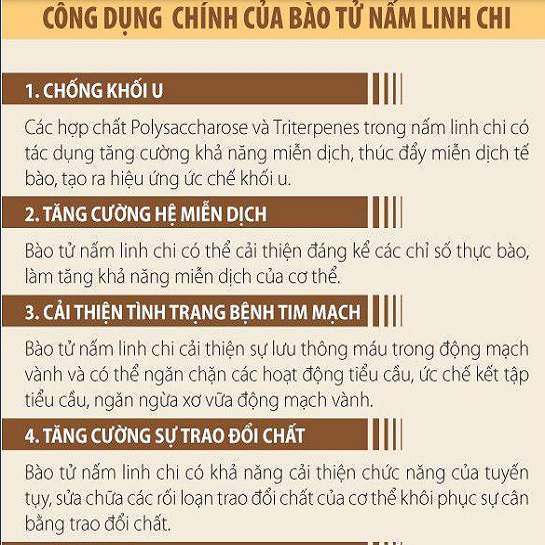 cong dung bao tu nam linh chi