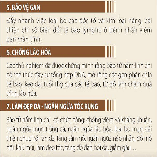 cong dung bao tu nam linh chi