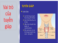 VAI TRÒ, CHỨC NĂNG CỦA TUYẾN GIÁP