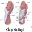 BẤM HUYỆT TRỊ LIỆU ĐAU KHỚP GỐI