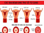 Cẩm Nang Tầm Soát Sức Khỏe Định Kỳ Toàn Diện Dành Cho Phụ Nữ Hiện Đại